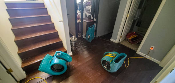 Best Water damage cleanup near me  in Bluefield, WV