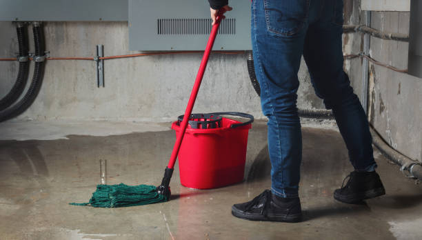 Best Water damage contractors near me  in Bluefield, WV