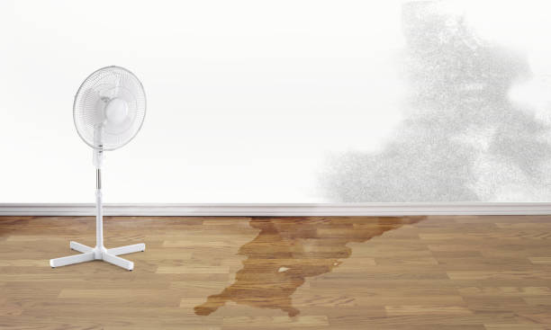  Bluefield, WV Water damage restoration Pros