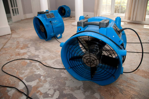 Best Water damage cleanup near me  in Bluefield, WV