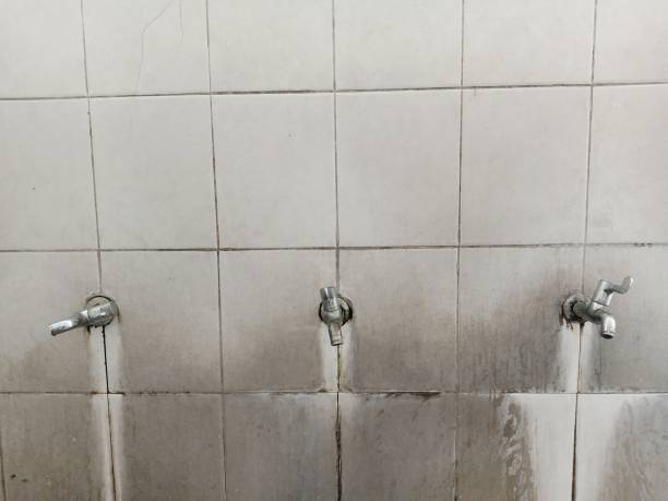 Best Ceiling water damage repair  in Bluefield, WV