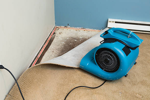 Best Sewage cleanup and water damage restoration  in Bluefield, WV